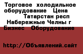 Торговое, холодильное оборудование › Цена ­ 500 000 - Татарстан респ., Набережные Челны г. Бизнес » Оборудование   